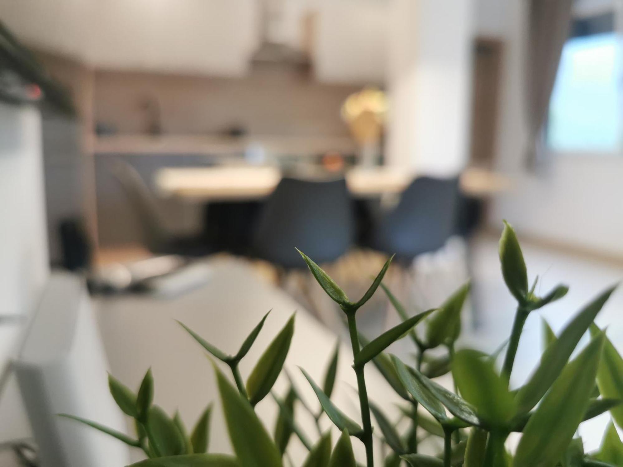 Apartma Bella Nadiza Кобарид Экстерьер фото